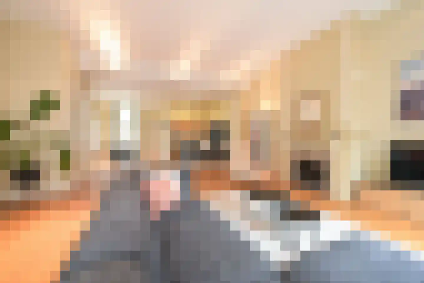 Denneweg 11 A Den Haag thumbnail 12