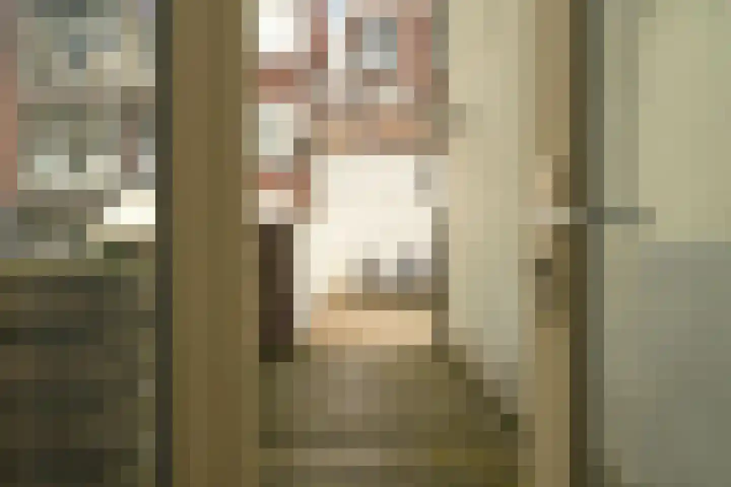 Denneweg 11 A Den Haag thumbnail 38