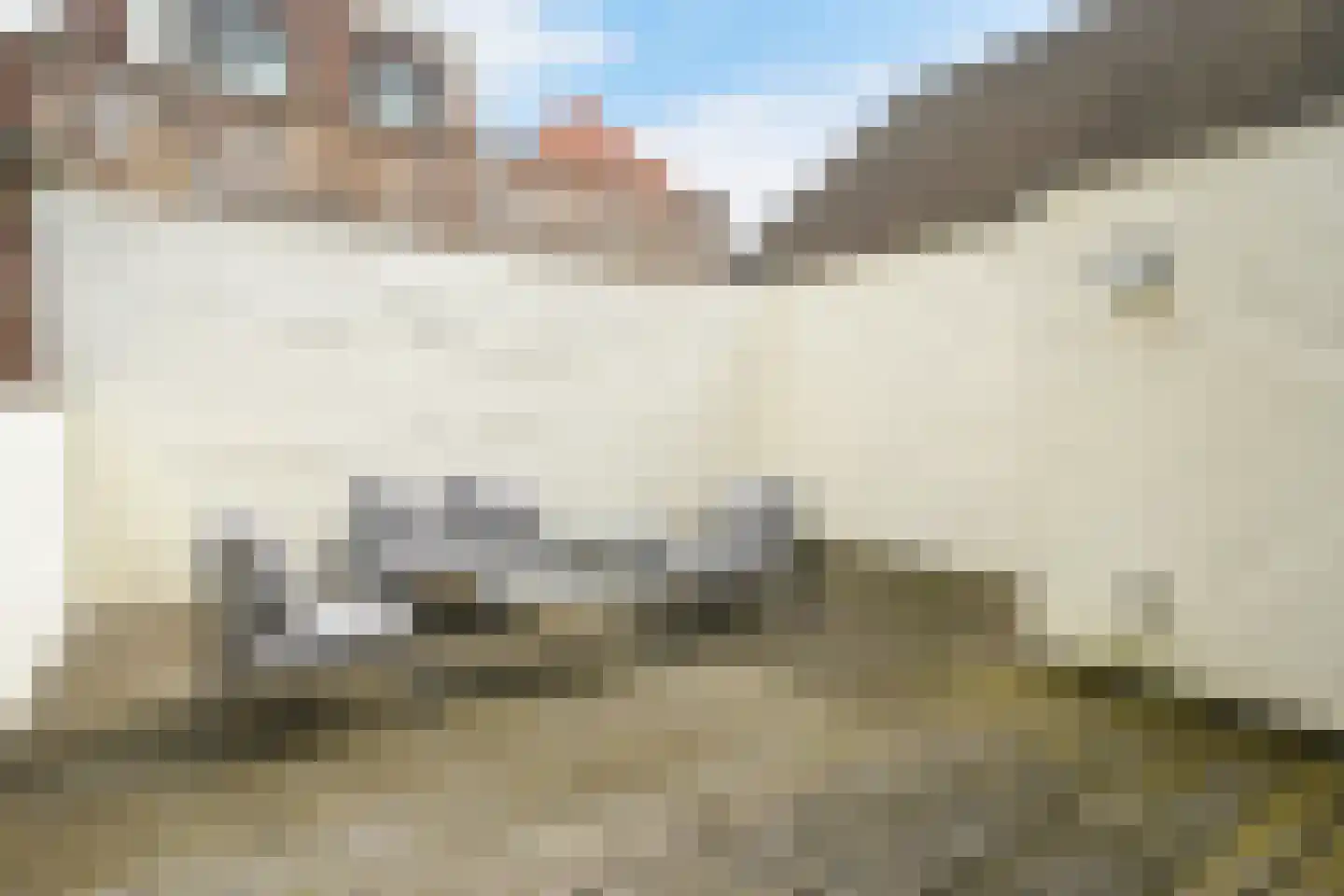 Denneweg 11 A Den Haag thumbnail 39