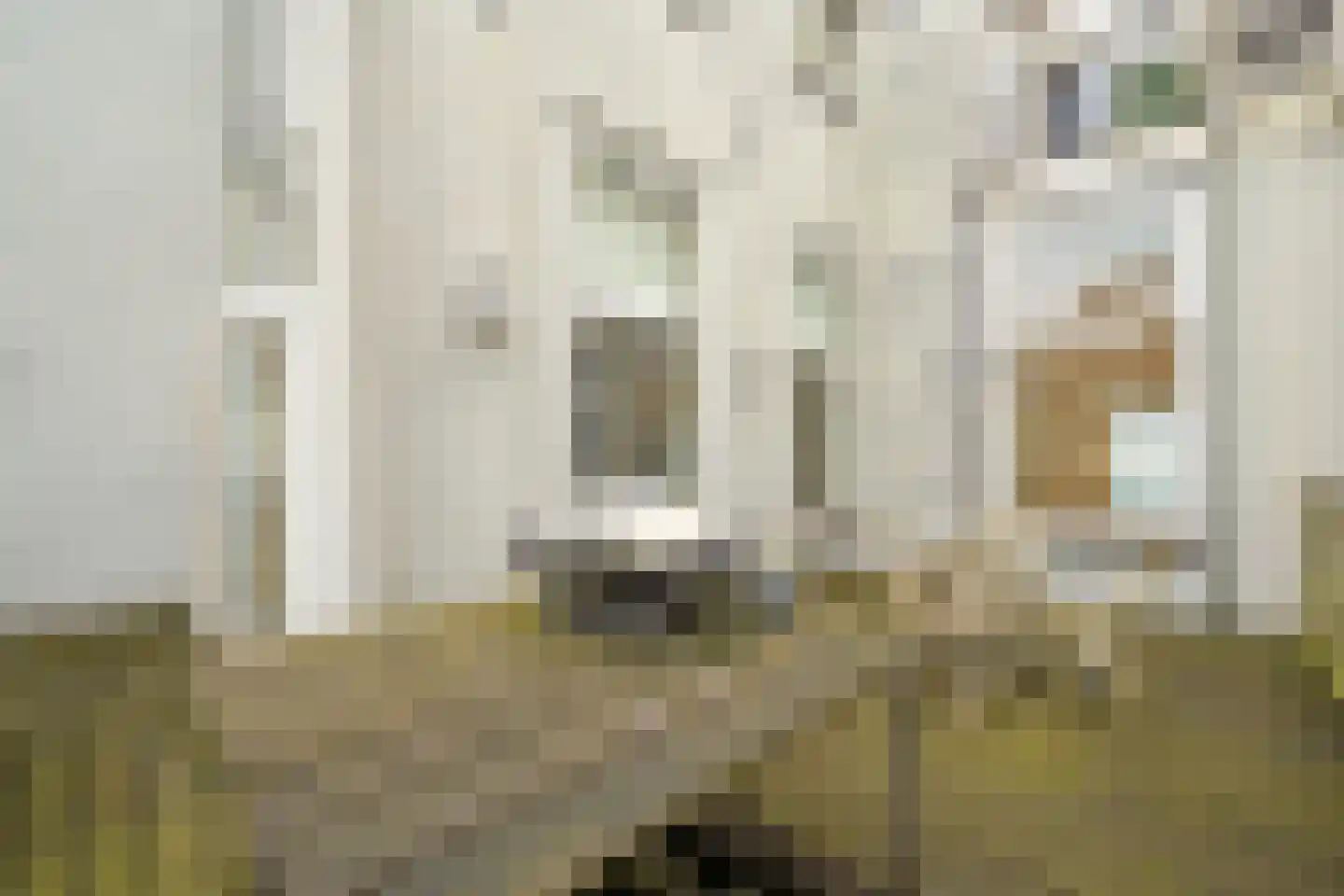 Denneweg 11 A Den Haag thumbnail 42