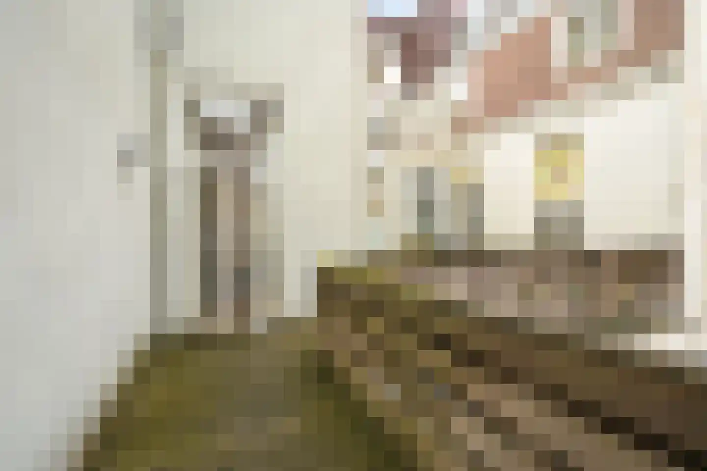 Denneweg 11 A Den Haag thumbnail 45