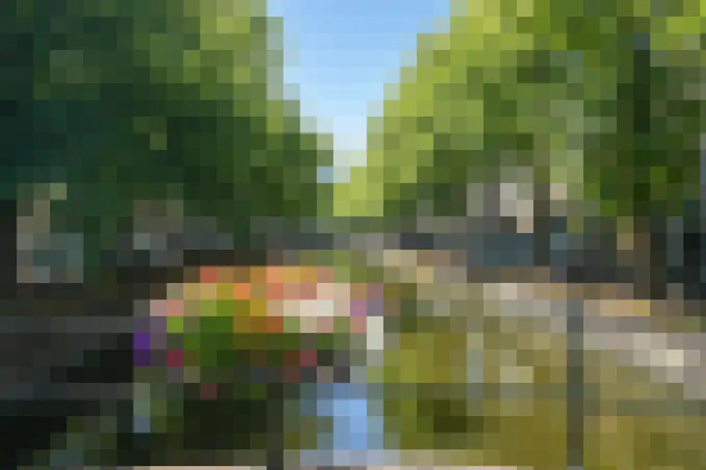 Denneweg 11 A Den Haag thumbnail 49