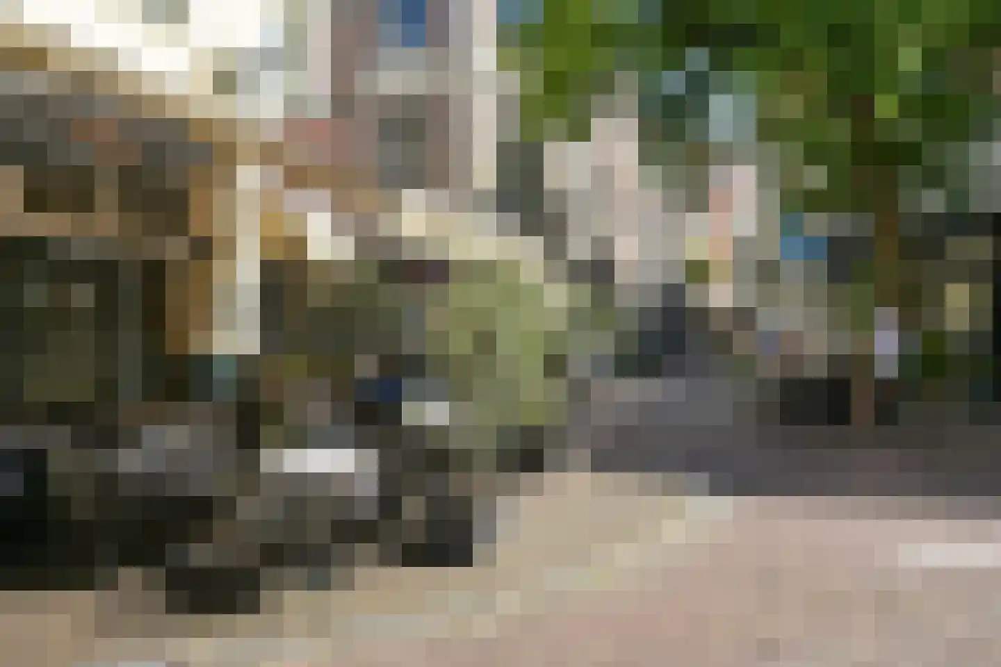 Denneweg 11 A Den Haag thumbnail 52