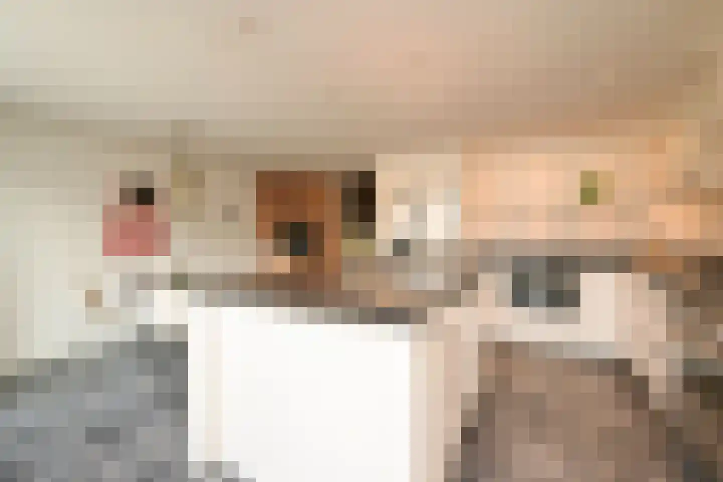 Denneweg 114 B Den Haag thumbnail 12
