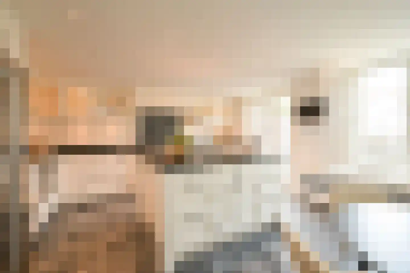 Denneweg 114 B Den Haag thumbnail 13