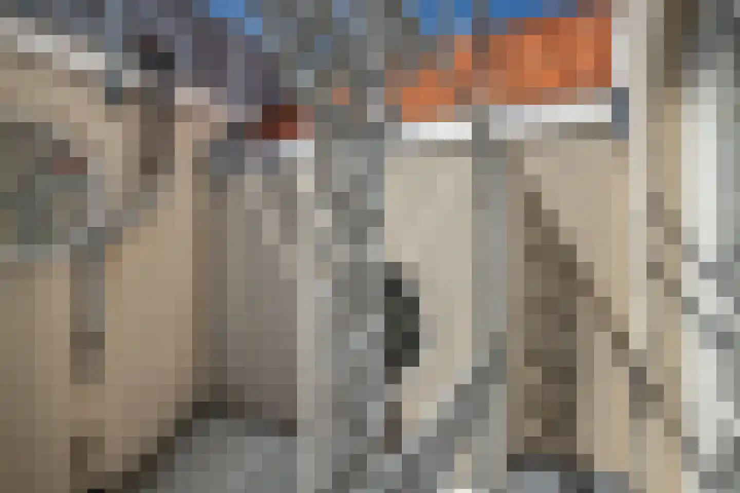 Denneweg 116 C Den Haag thumbnail 27