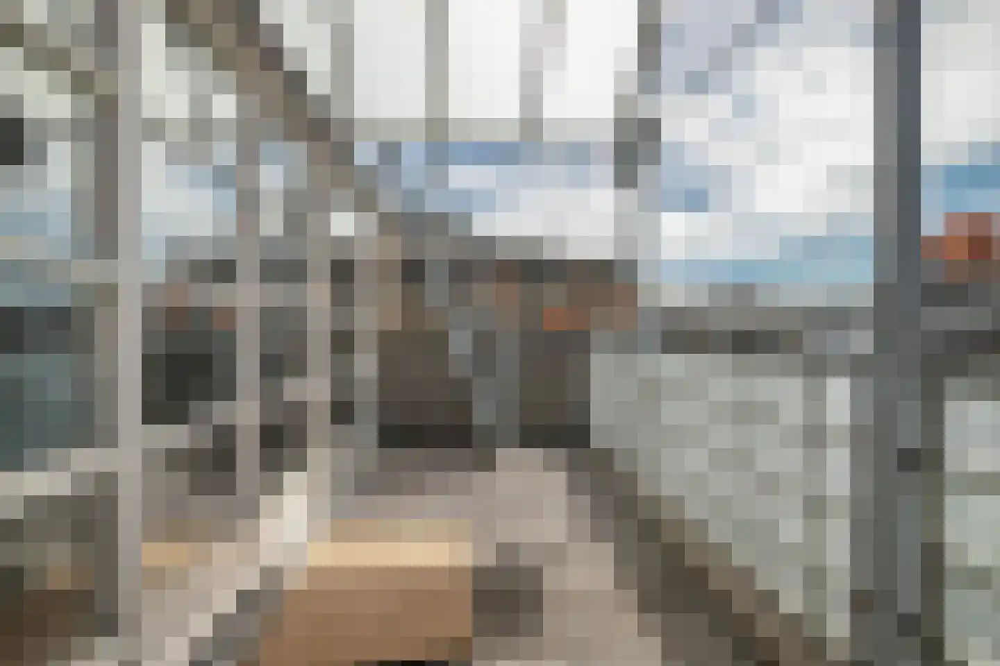 Denneweg 116 C Den Haag thumbnail 7