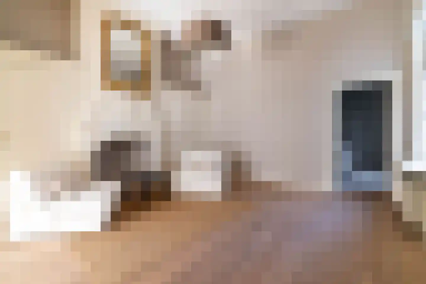 Denneweg 13 Den Haag thumbnail 12