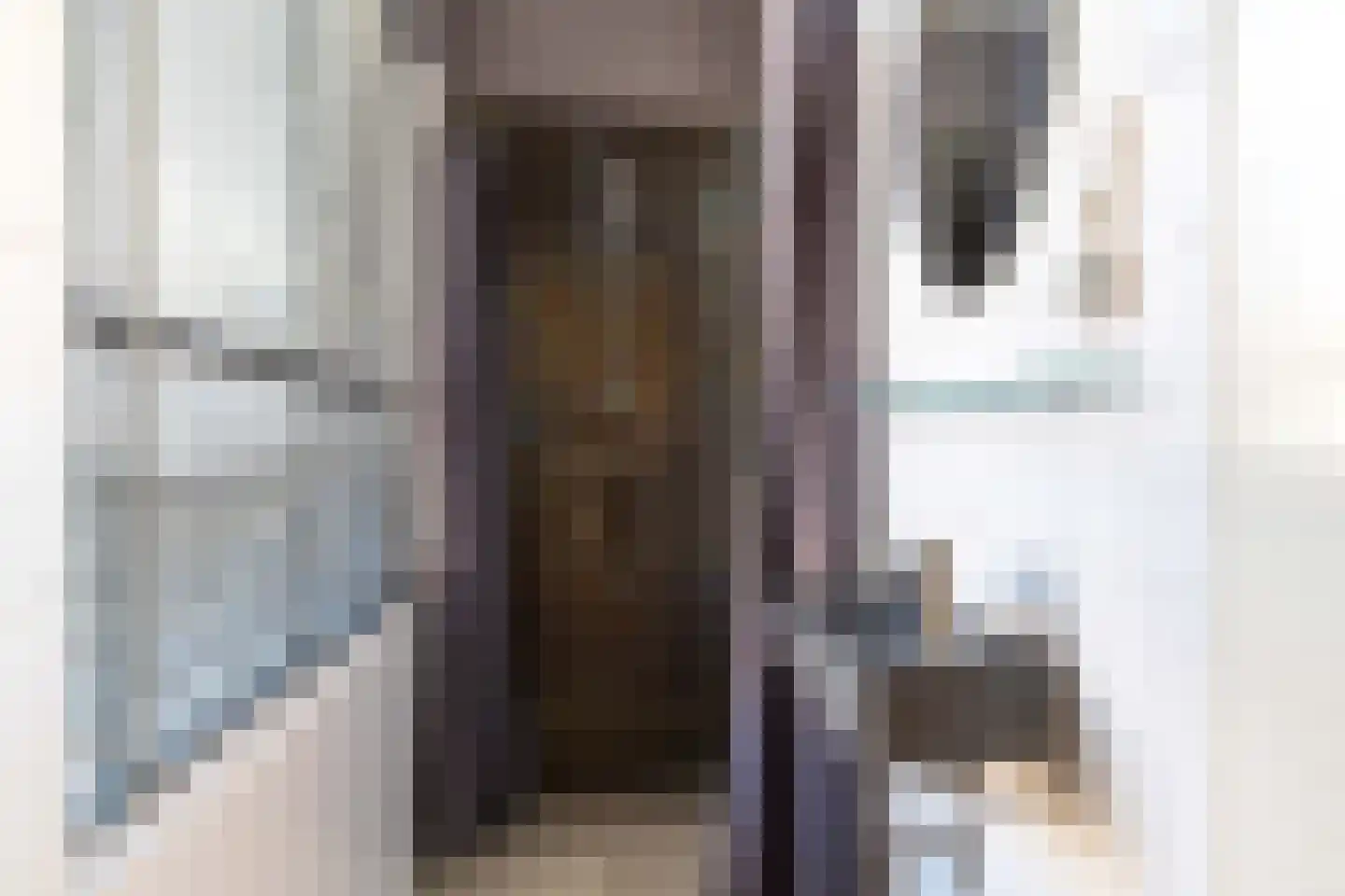 Denneweg 13 Den Haag thumbnail 17