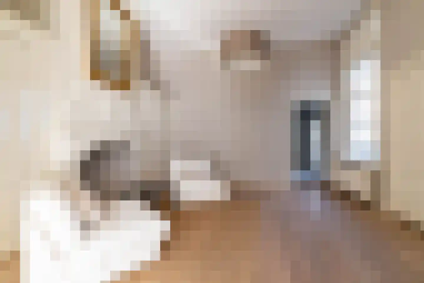 Denneweg 13 Den Haag thumbnail 4