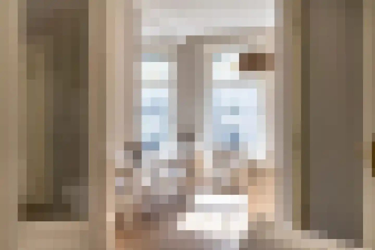 Denneweg 13 Den Haag thumbnail 5