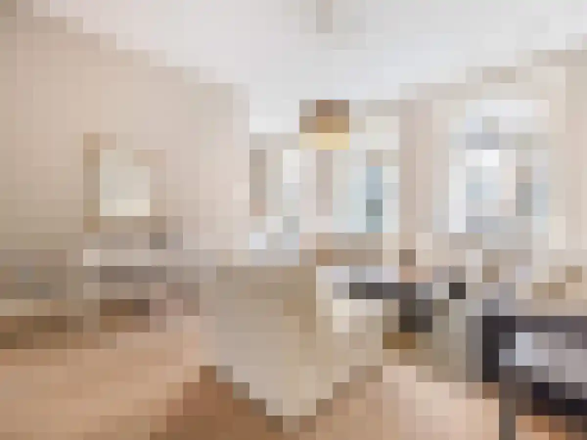 Denneweg 13 Den Haag thumbnail 6