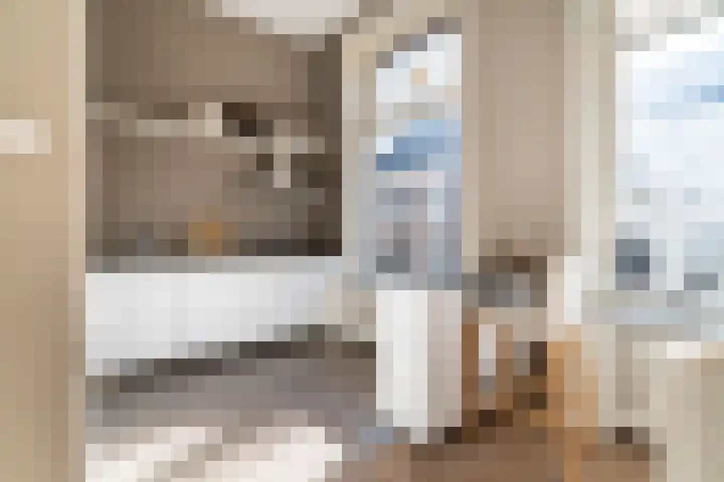 Denneweg 13 Den Haag thumbnail 6