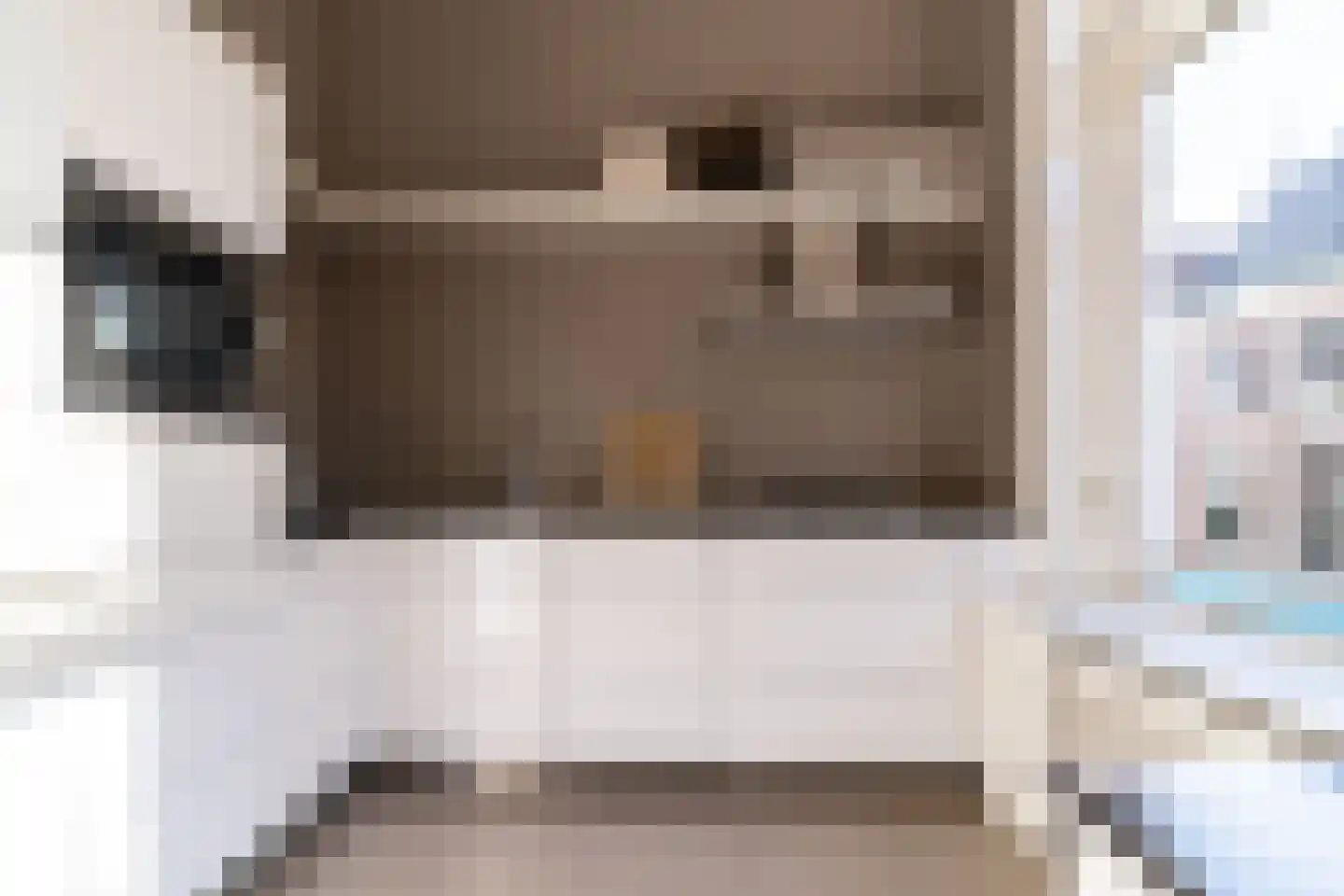 Denneweg 13 Den Haag thumbnail 7