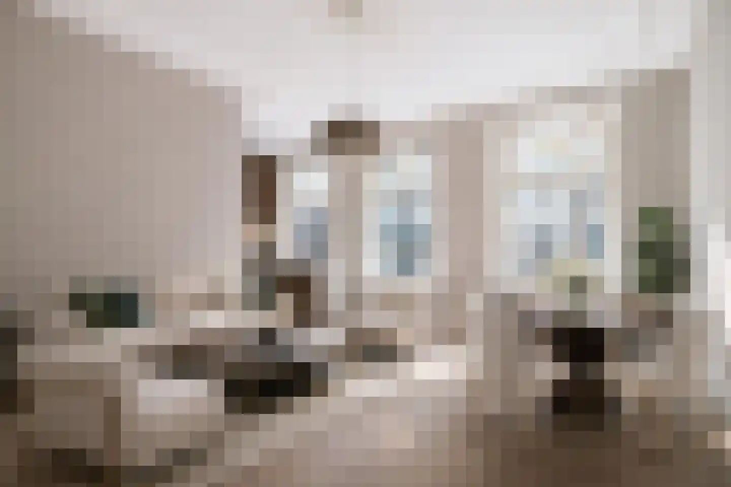 Denneweg 13 Den Haag thumbnail 8