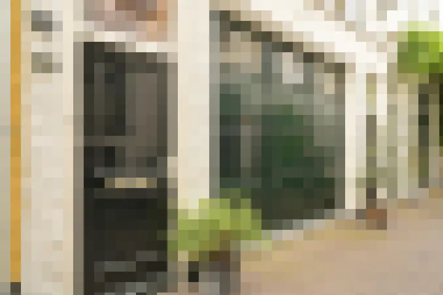 Denneweg 16 Den Haag thumbnail 9