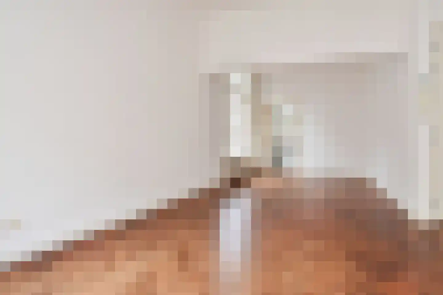 Denneweg 17 B Den Haag thumbnail 10