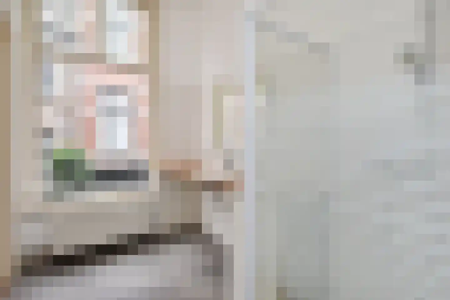 Denneweg 17 B Den Haag thumbnail 17