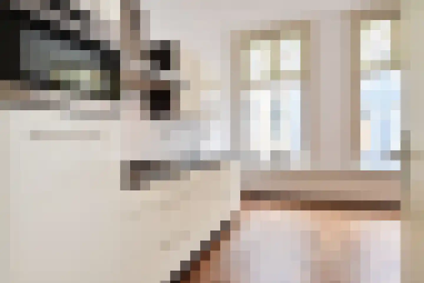 Denneweg 17 B Den Haag thumbnail 5