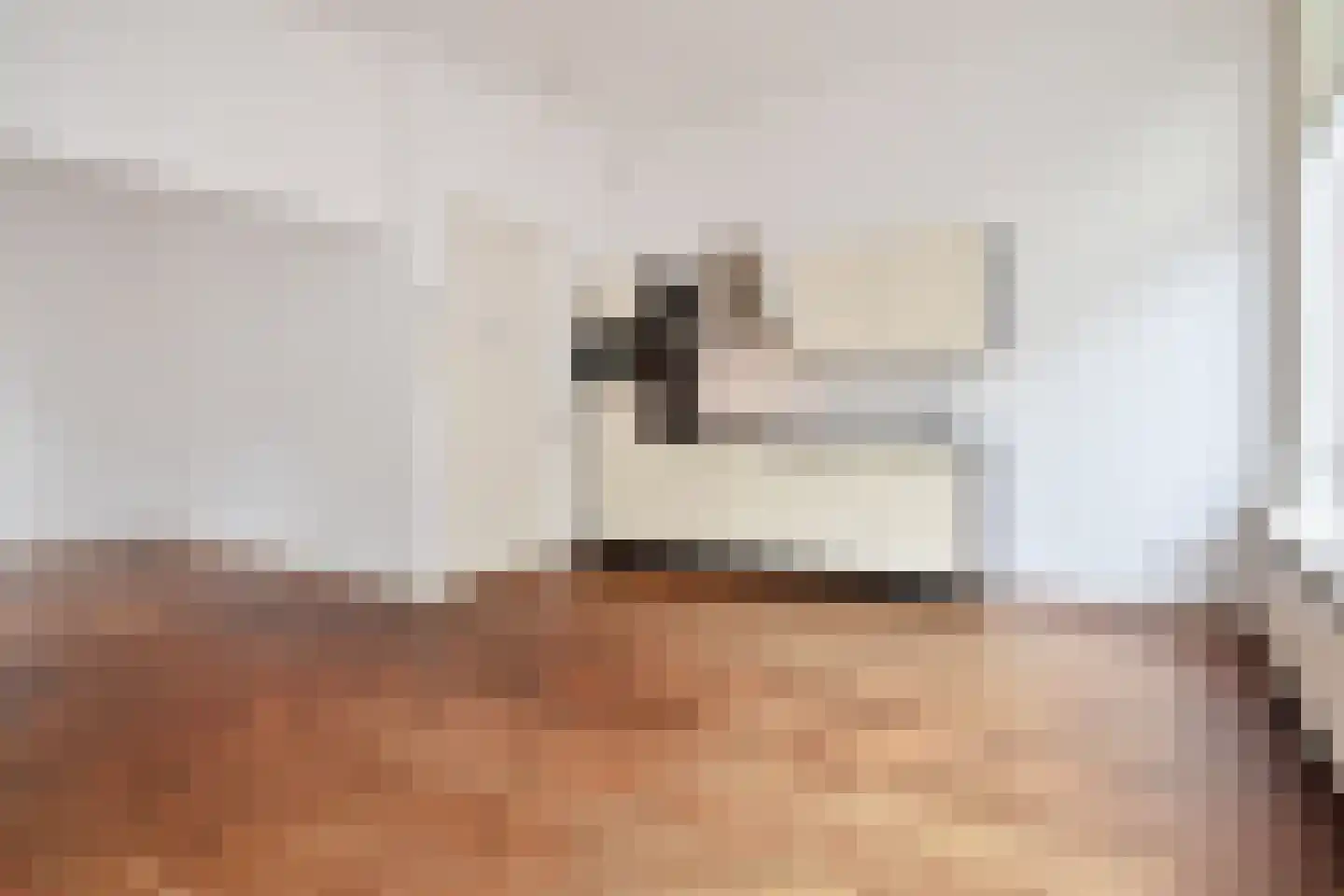 Denneweg 17 B Den Haag thumbnail 7