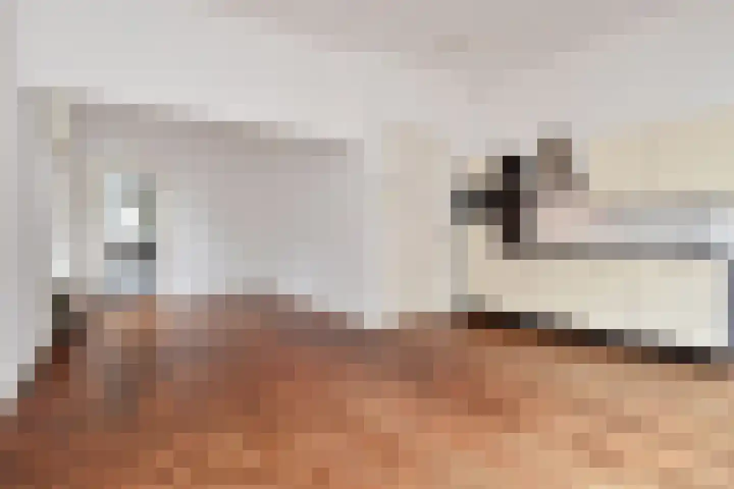 Denneweg 17 B Den Haag thumbnail 8