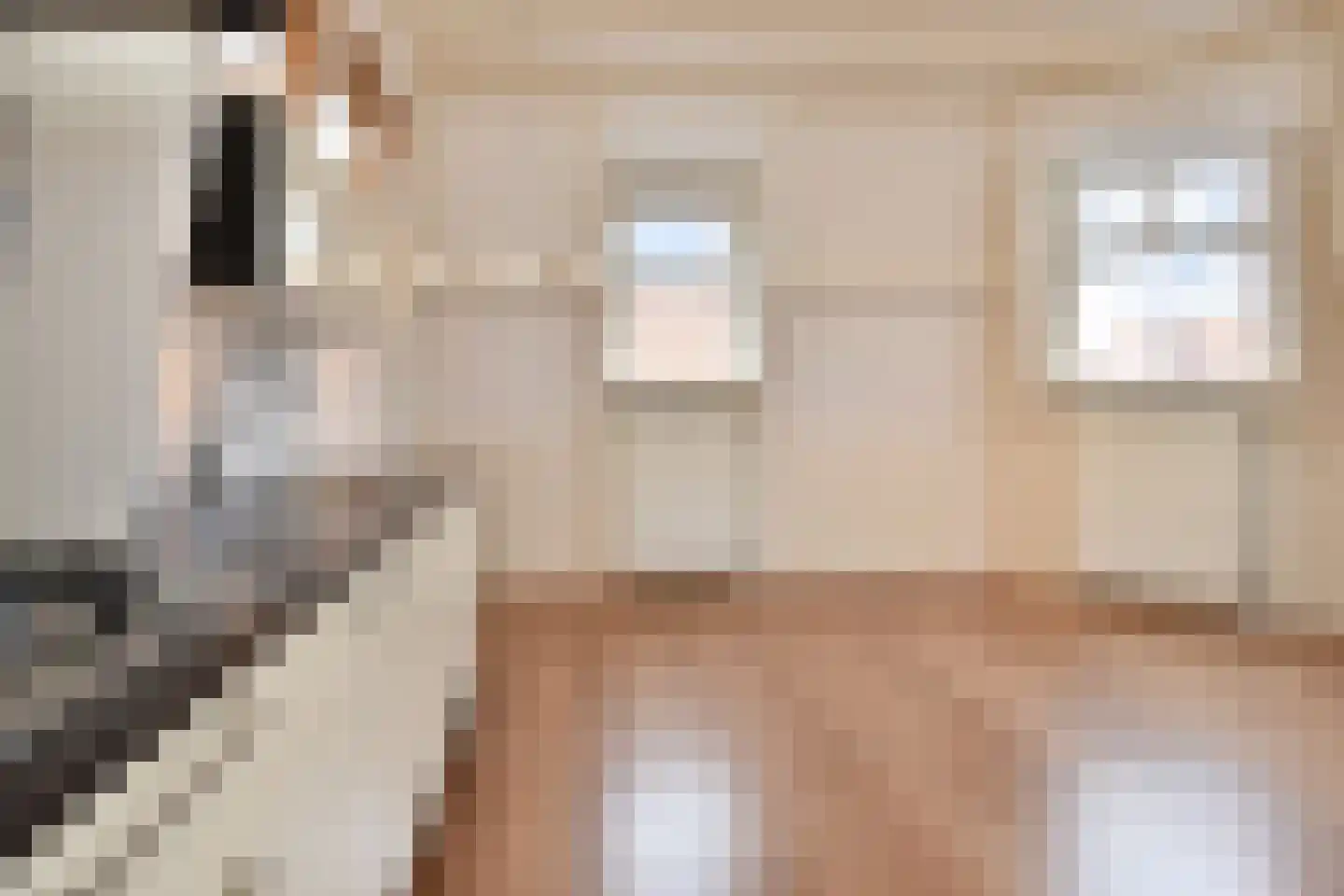 Denneweg 17 D Den Haag thumbnail 10