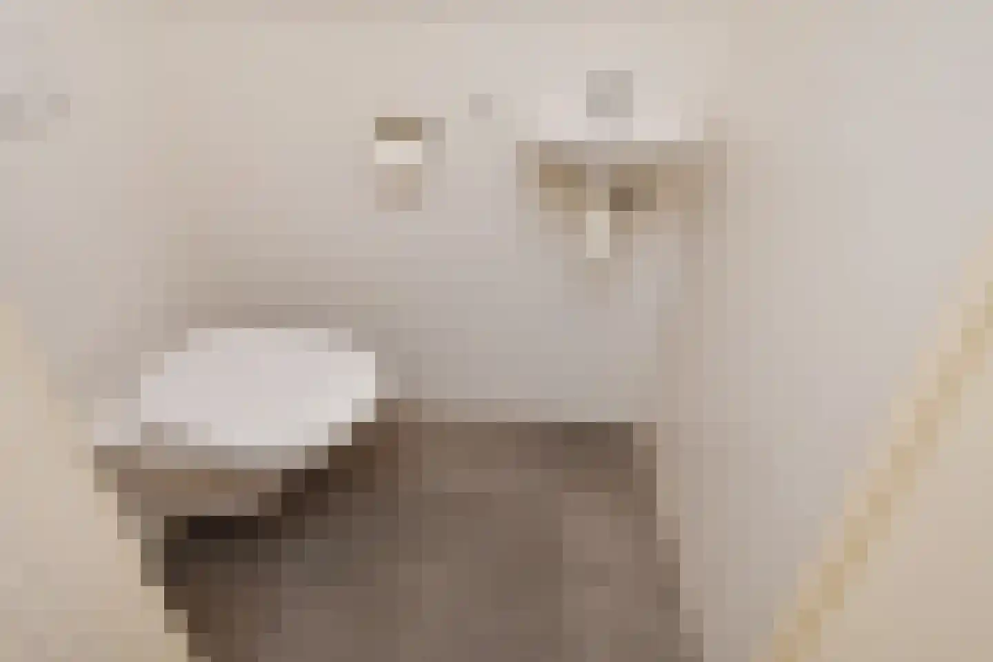 Denneweg 17 D Den Haag thumbnail 23