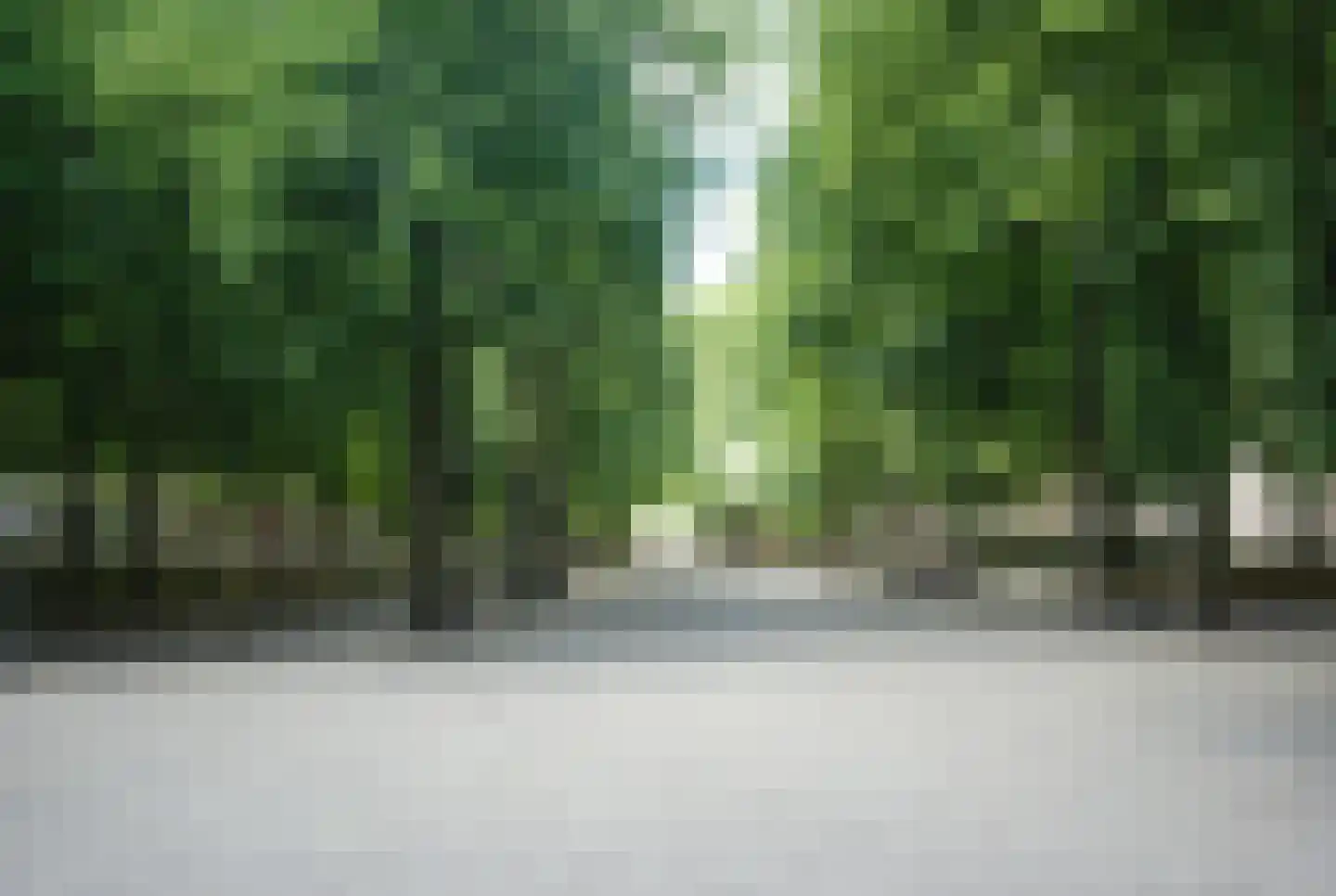 Denneweg 17 D Den Haag thumbnail 38