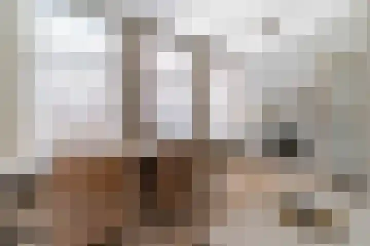 Denneweg 19 A Den Haag thumbnail 5