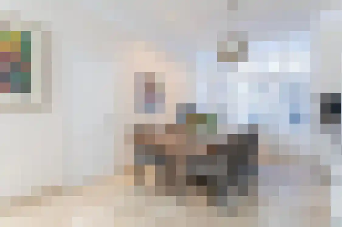 Denneweg 22 Den Haag thumbnail 5