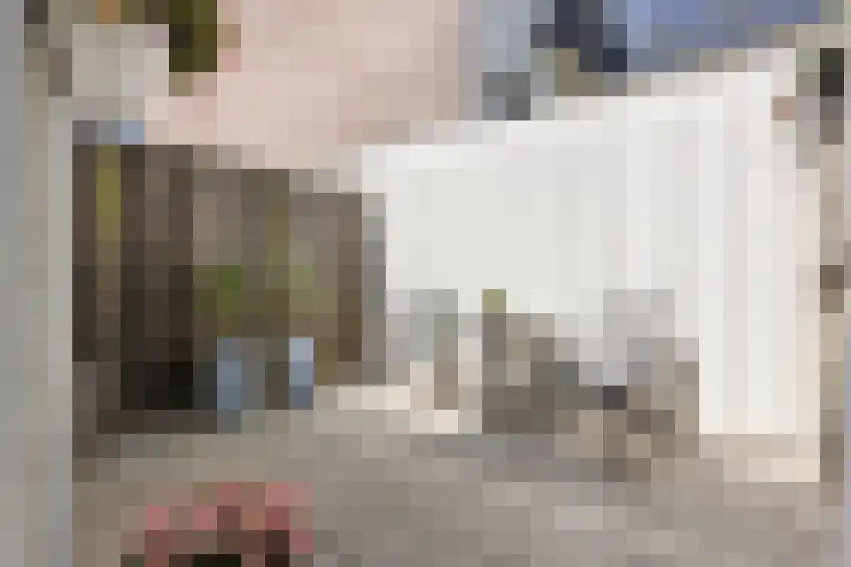 Denneweg 38 Den Haag thumbnail 4
