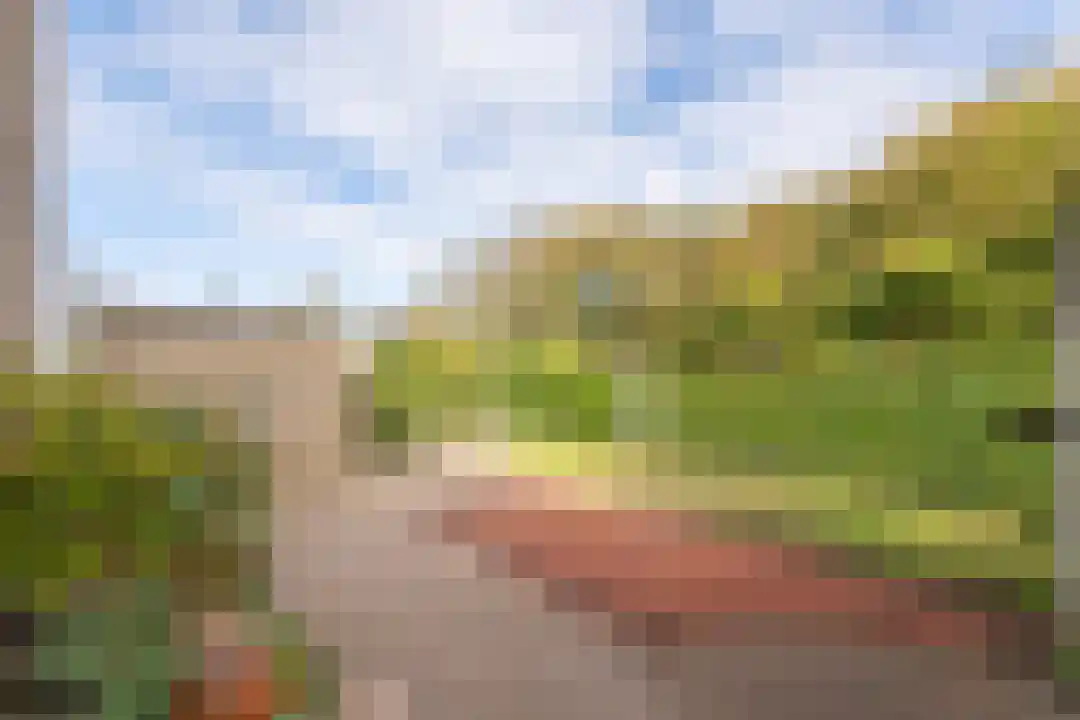 Denneweg 6 Callantsoog thumbnail 16