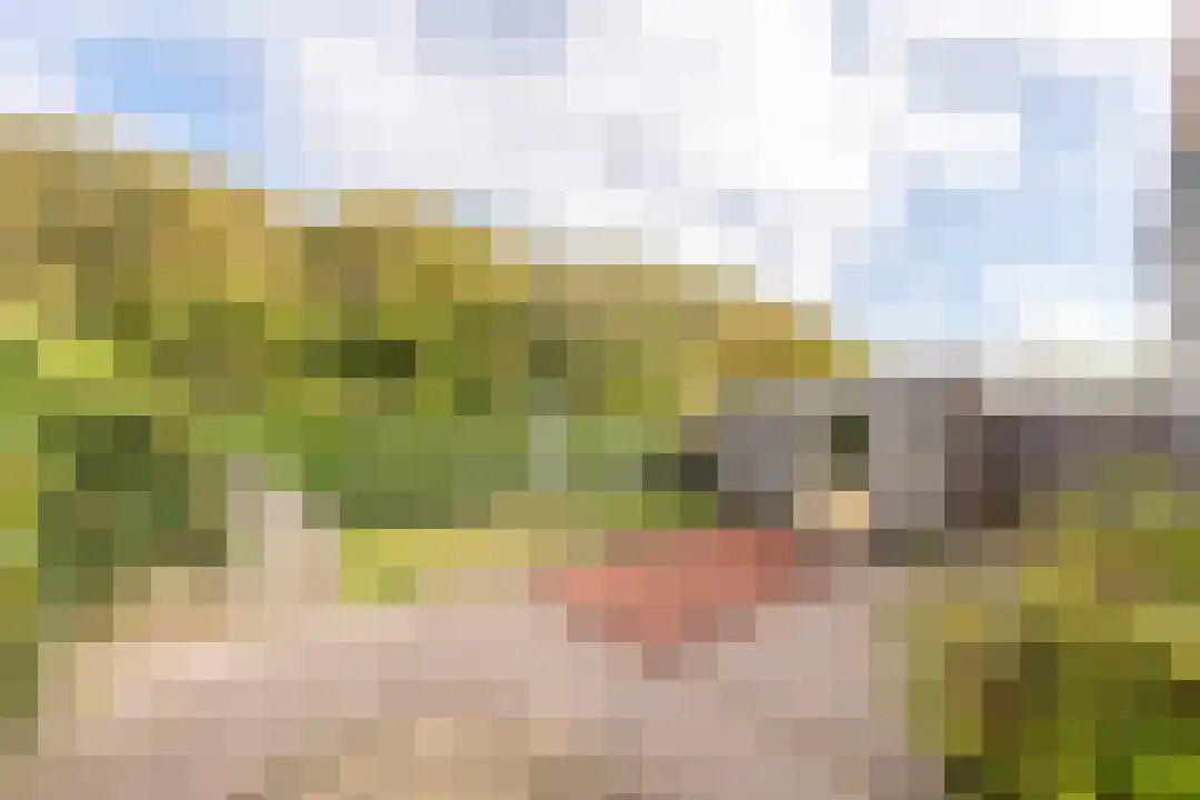 Denneweg 6 Callantsoog thumbnail 17