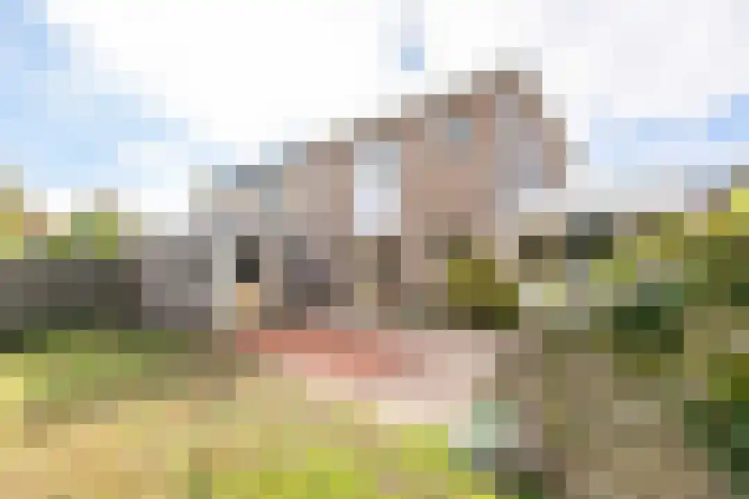 Denneweg 6 Callantsoog thumbnail 5