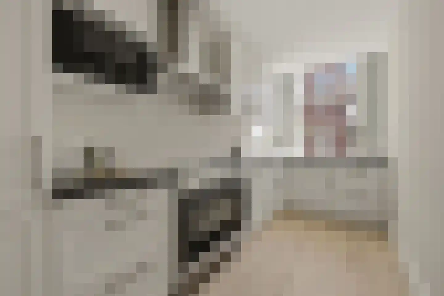 Denneweg 68 A Den Haag thumbnail 23