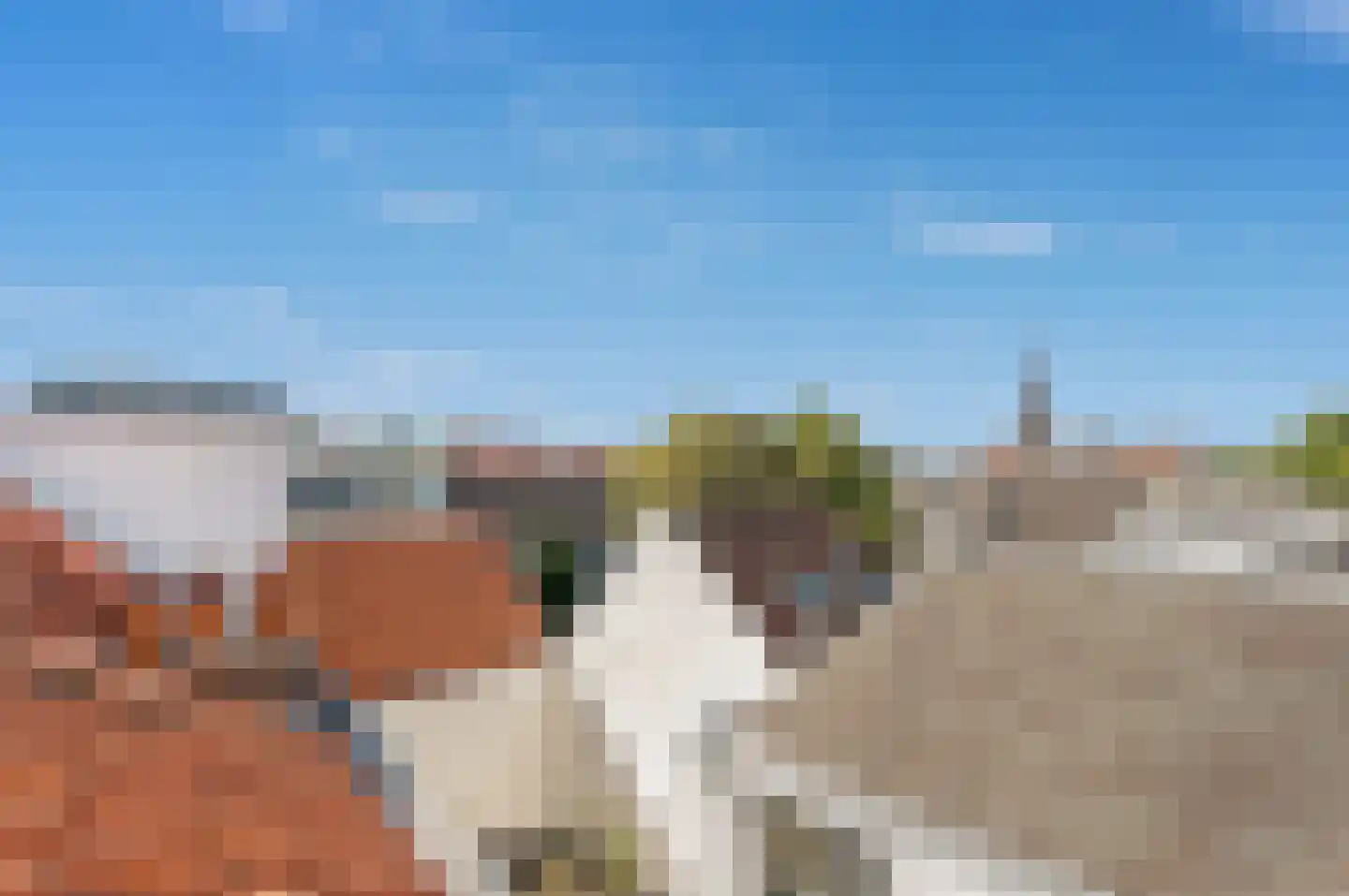 Denneweg 68 A Den Haag thumbnail 64