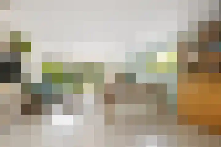 Dennewitjeshof 16 Utrecht thumbnail 10
