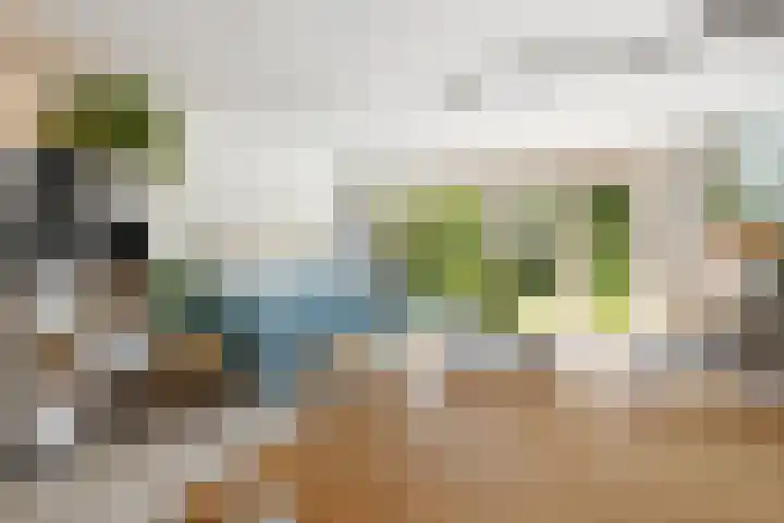 Dennewitjeshof 16 Utrecht thumbnail 13