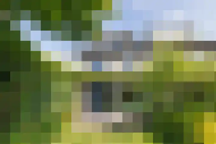 Dennewitjeshof 16 Utrecht thumbnail 17