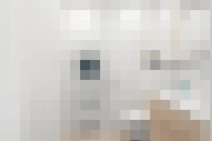 Dennewitjeshof 16 Utrecht thumbnail 24