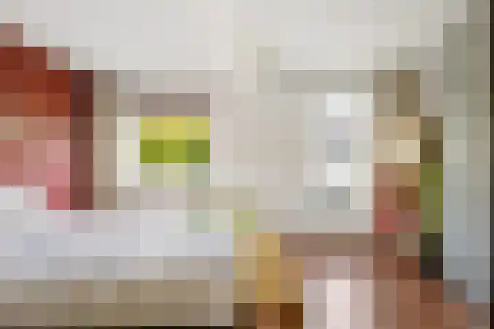 Dennewitjeshof 16 Utrecht thumbnail 27