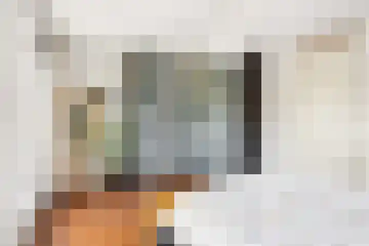 Dennewitjeshof 16 Utrecht thumbnail 28