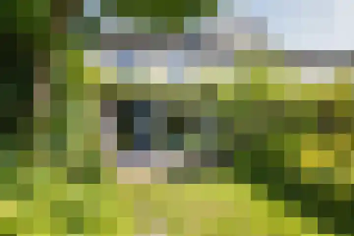 Dennewitjeshof 16 Utrecht thumbnail 38