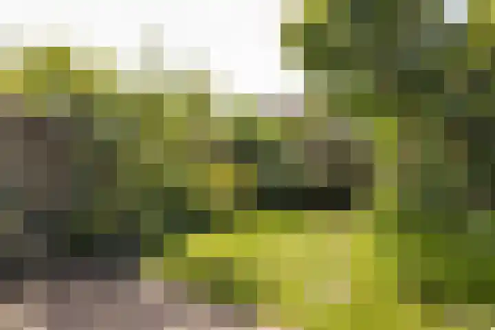 Dennewitjeshof 16 Utrecht thumbnail 39