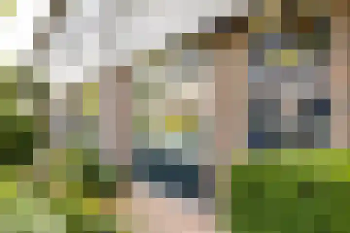 Dennewitjeshof 16 Utrecht thumbnail 4