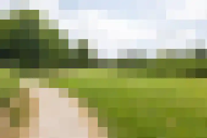 Dennewitjeshof 16 Utrecht thumbnail 40