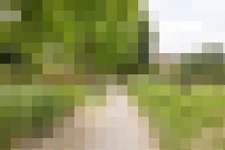 Dennewitjeshof 16 Utrecht thumbnail 41