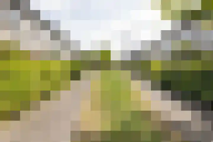 Dennewitjeshof 16 Utrecht thumbnail 42