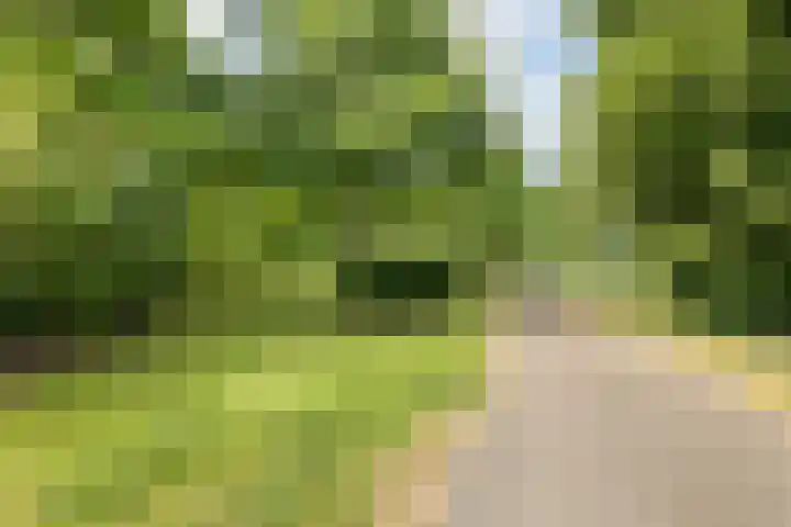 Dennewitjeshof 16 Utrecht thumbnail 43