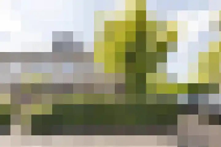 Dennewitjeshof 16 Utrecht thumbnail 44